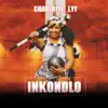 Charlotte_lyf - Inkondlo - Single